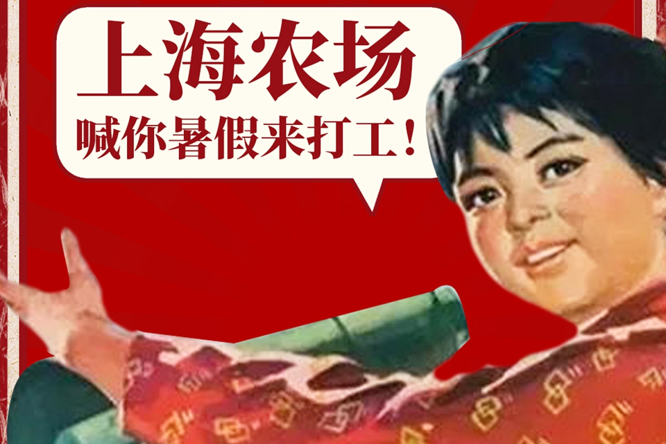 小小打工人