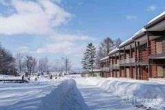 北海道滑雪营
